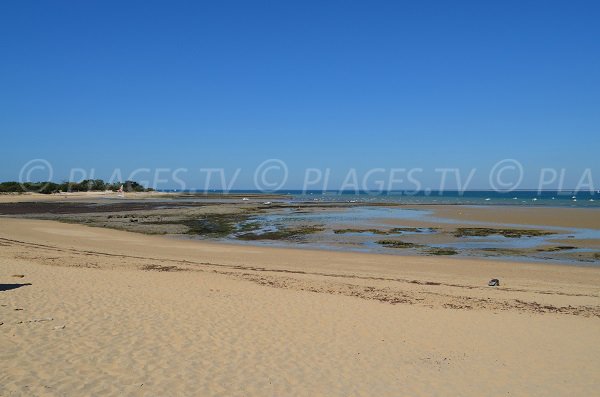 Chapelle beach at low tide - Les Portes en Ré - Ré Island