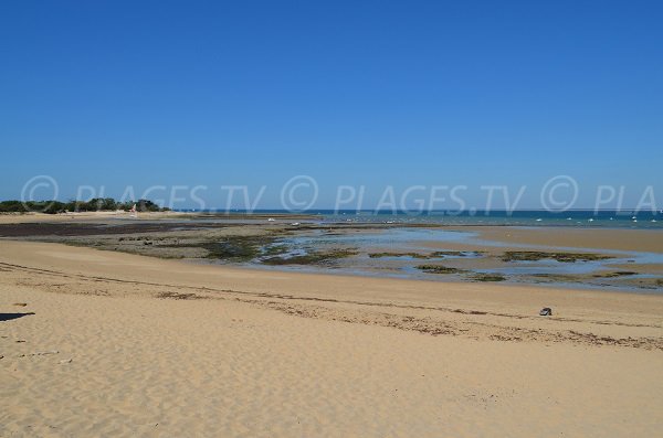 Plage de la Chapelle des Portes en Ré