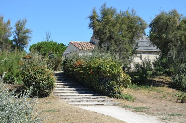 Rebord de la plage de la redoute - Ile de Ré