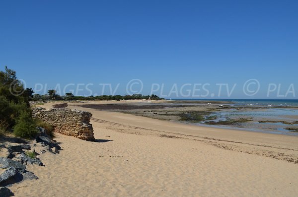 Photo de la plage de la Redoute sur l'Ile de Ré (Les Portes en Ré)