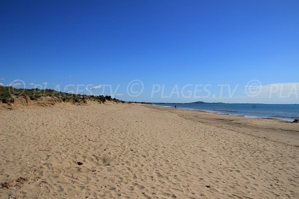 Environnement de la plage de la Redoute à Portiragnes