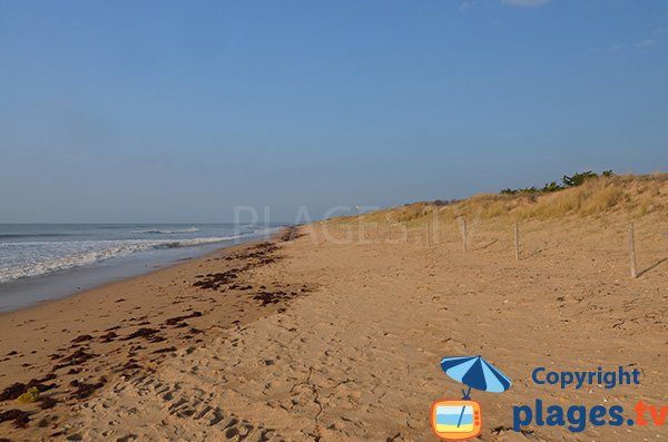 Spiaggia selvaggia a Notre Dame de Monts vicino al centro della città