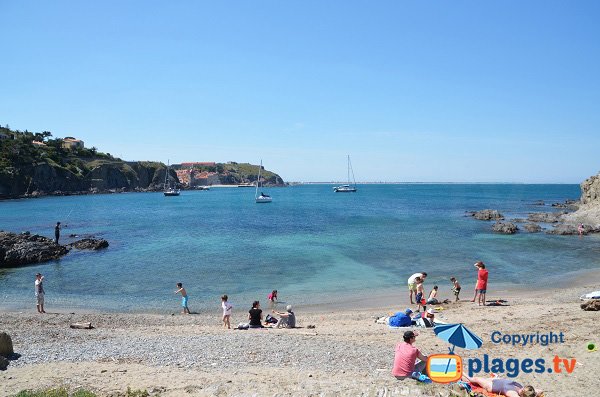 Blick auf Collioure von der Anse de Reguers aus