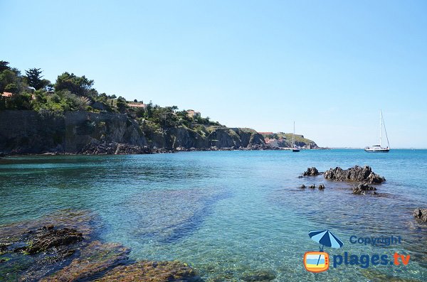 Calette di Reguers - Collioure