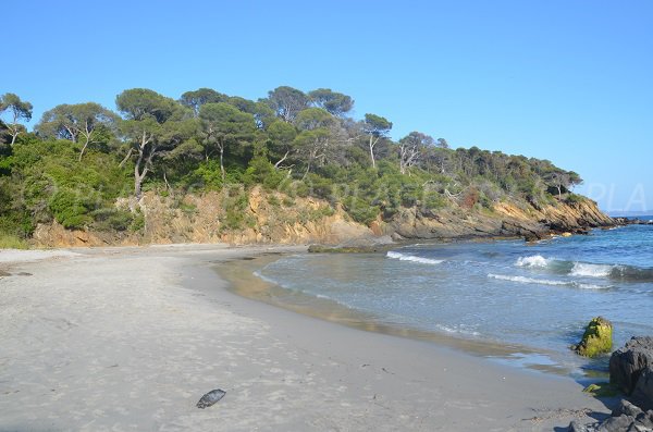 Plage à proximité de la pointe de Malherbe à Bormes les Mimosas