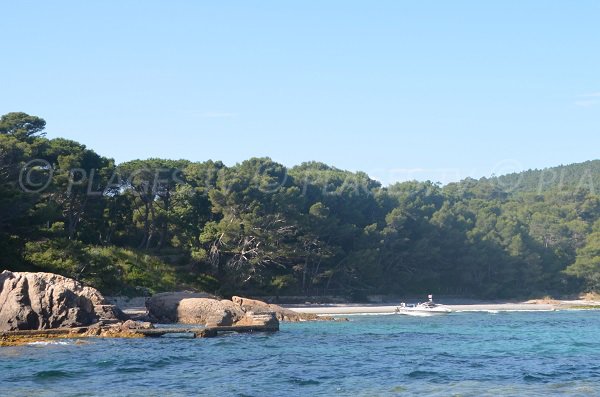 Rocks of the beach of the Reine Jeanne in Bormes dans le Var