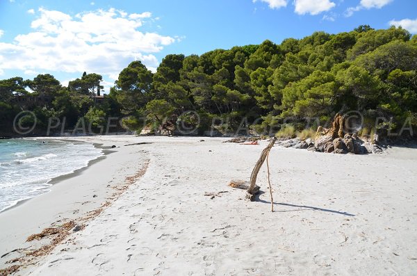 Photo de la plage sauvage de la Reine Jeanne dans le Var