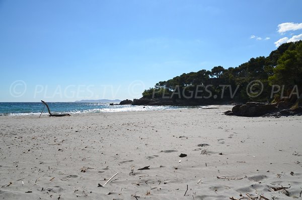 Sable blanc sur la plage de la Reine Jeanne - Bormes les Mimosas