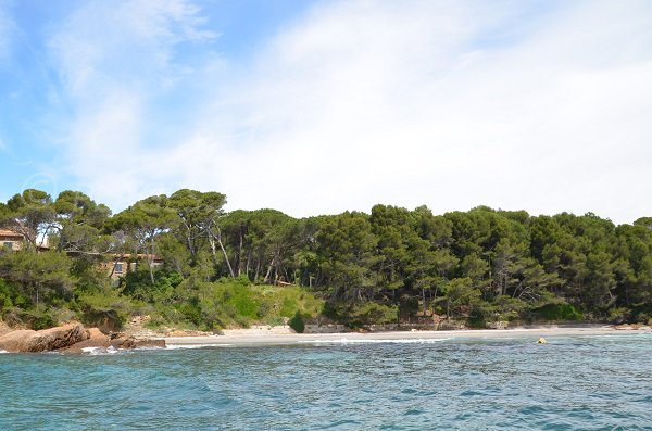 Reine Jeanne beach in Bormes les Mimosas in France