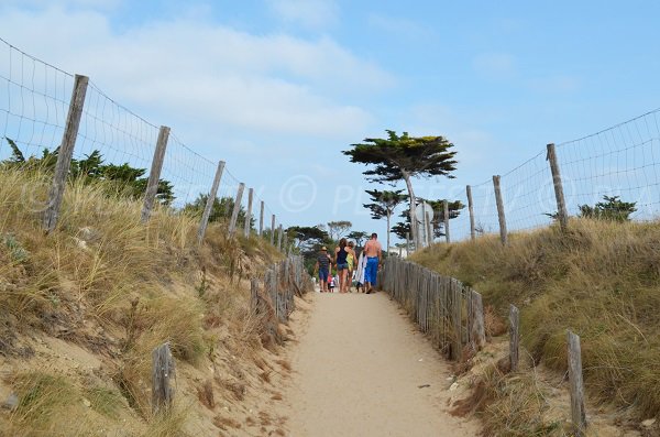 Accès à la plage de Rémigeasse - Dolus