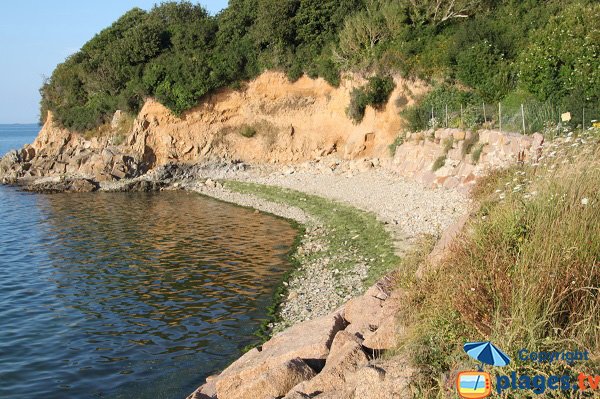 Crique du Renan à Louannec