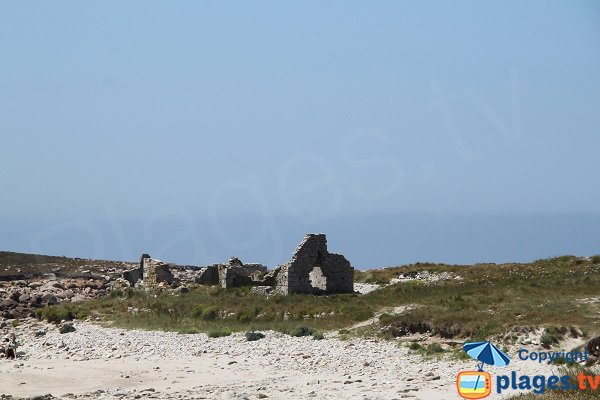 Ruines des anciennes maisons de granitiers sur l'ile grande - Bretagne