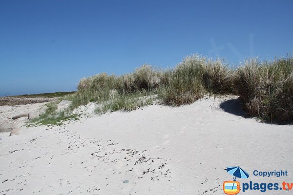 Dunes sur l'ile d'Aganton