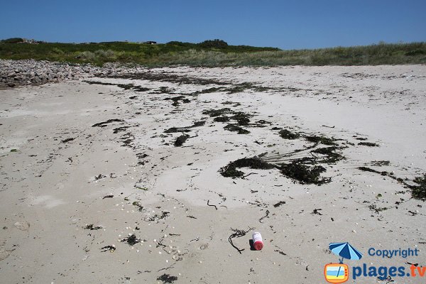 Déchets sur la plage de l'ile d'Aganton