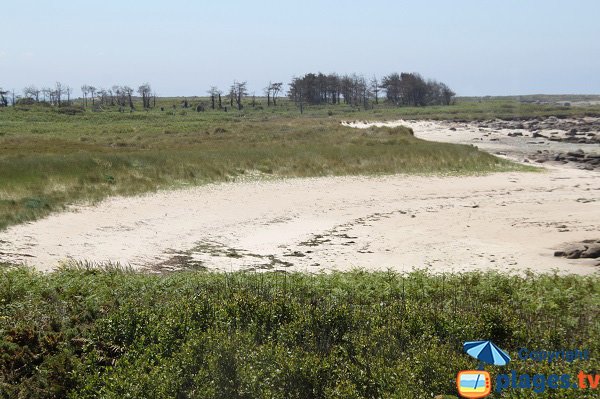 Photo de la plage du Renard sur l'ile d'Aganton en Bretagne