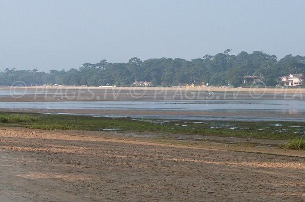 Plage du Rey - Lac d'Hossegor dans les Landes