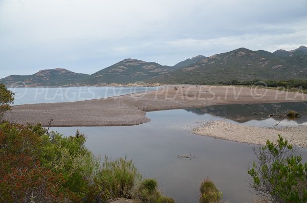 Photo de la plage de Ricciniccia avec le fleuve Fangu