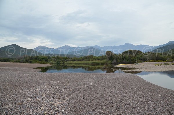 Rivière à côté de la plage de Riciniccia - Galéria