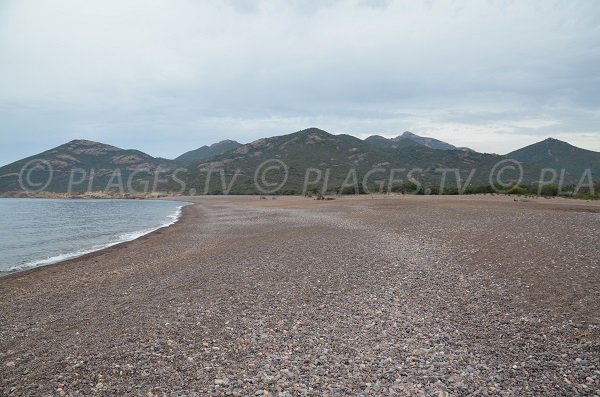 Plage de galets à Galéria - Ricciniccia