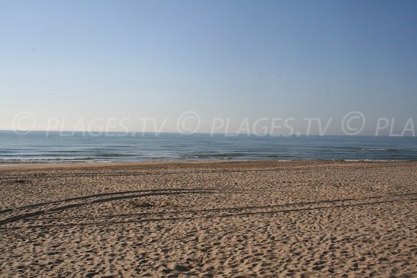 Plage Ouest du Rieu à Marseillan