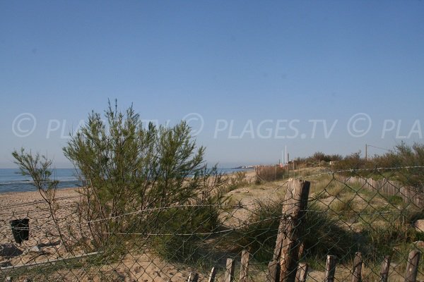 Environnement de la plage ouest de Marseillan