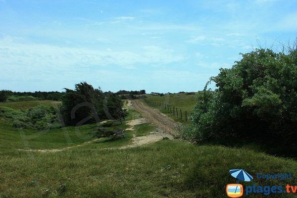 Sentiers au niveau de la plage de Riez