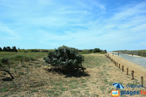 Environnement de la plage de Riez