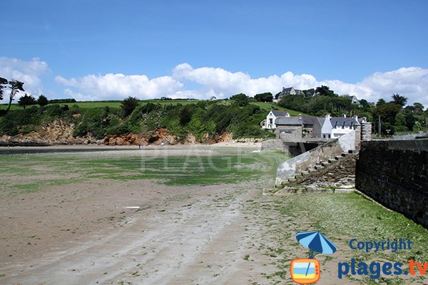 Algues vertes sur la plage Le Ris à Douarnenez