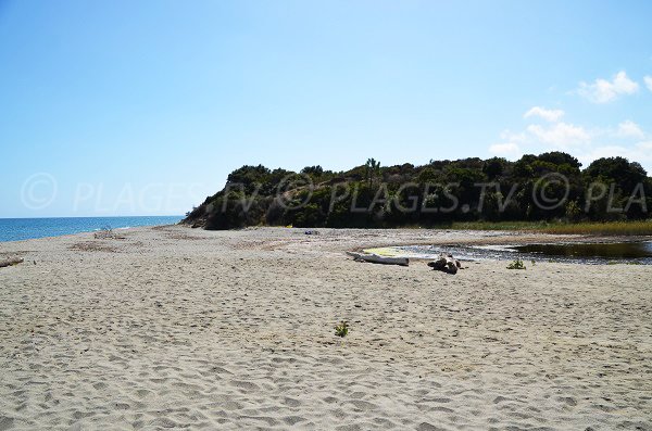 Beach and pond of Terrenzana - Corsica