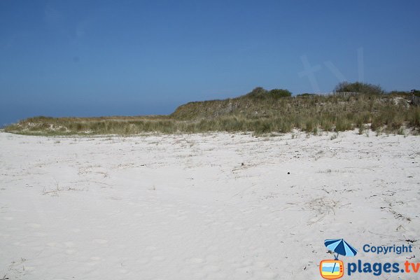 Dunes de Plougoulm - Guillec