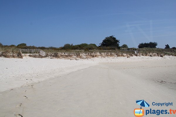 Environnement de l'anse de Guillec