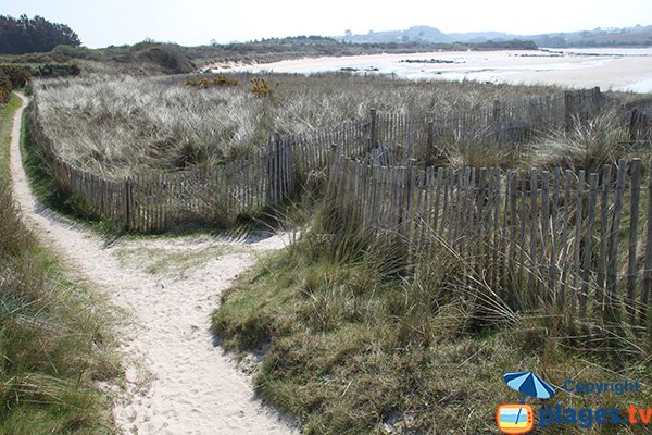 Sentier cotier le long de l'anse de Guillec - Plougoulm