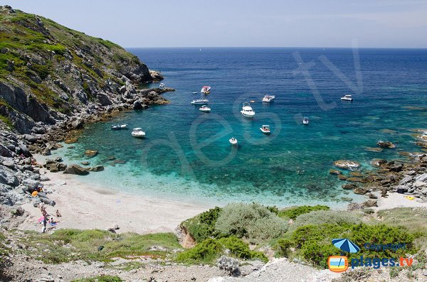 Plage à proximité de la tour de l'ile des Embiez - Rix