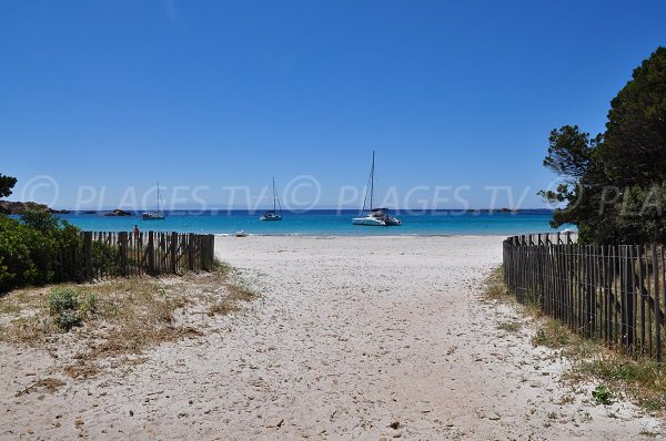 Accès à la plage de Roccapina en Corse