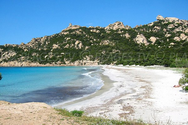 Spiaggia di Roccapina e la roccia del leone - Corsica