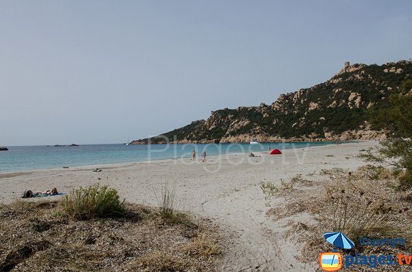 Spiaggia selvaggia a Sartène - Roccapina