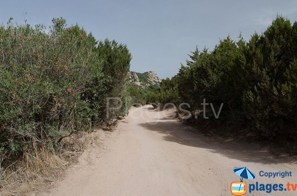 Sentier d'accès à la plage de Roccapina