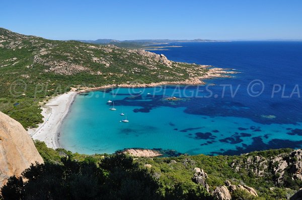 Foto della spiaggia di Roccapina a Sartène - Corsica