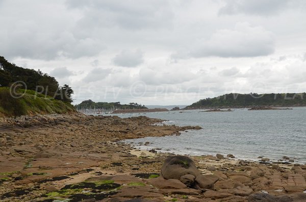 Vue sur le port de Trébeurden depuis la pointe de Lan Kerellec