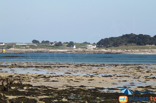 Roch Kroum beach of Roscoff at low tide - Island of Batz view