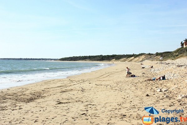 Supervised beach in Longeville sur Mer - Le Rocher