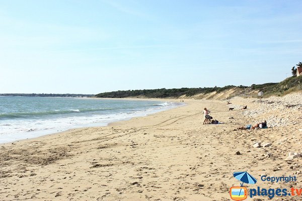 spiaggia sorvegliata a Longeville sur Mer - Le Rocher