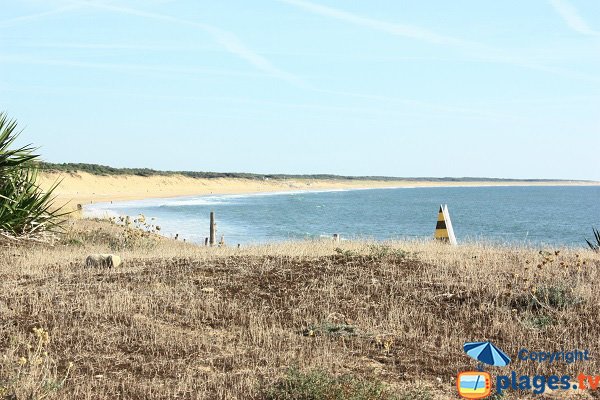 Foto della spiaggia Le Rocher - Longeville sur Mer