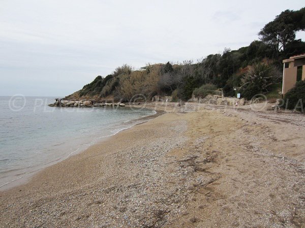 Spiaggia Roches Brunes - Capo Nègre a Six Fours les Plages