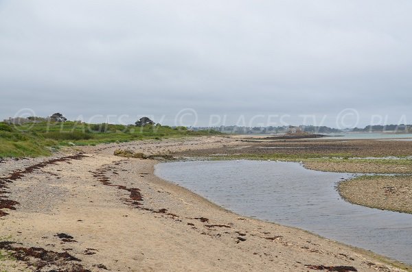 Photo de la plage à côté de l'Ile des Pins de Plougrescant