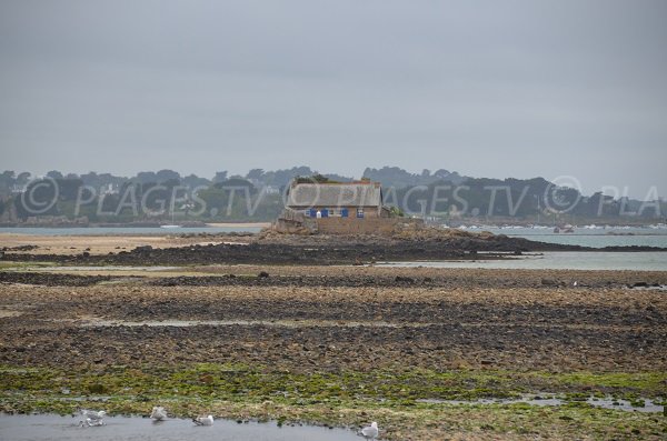 Maison sur la plage de Rojo Wenn - Plougrescant