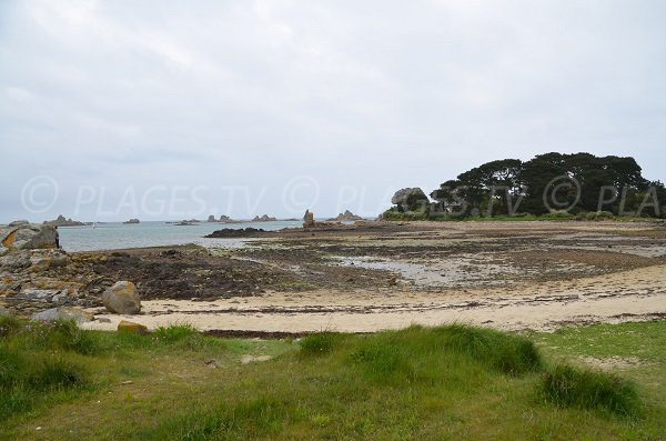 Partie nord de la plage de Rojo Wenn