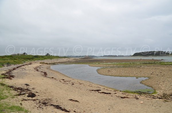 Photo de la plage de Rojo Wenn à Plougrescant