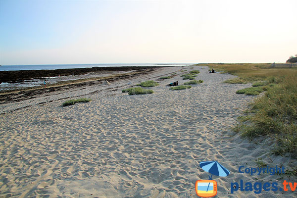 Vaste étendue de plage de sable fin