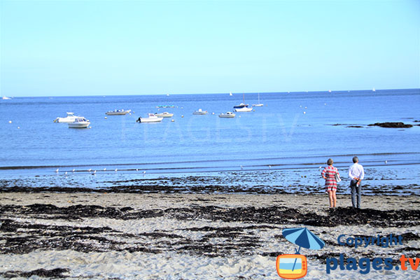 Balade au bord de mer